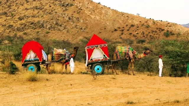 Camel Safari Pushkar