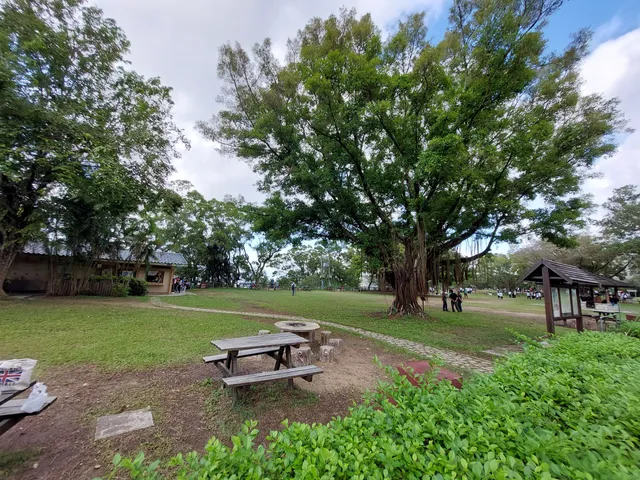 Tai Tong Barbecue Area