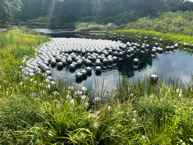 Bronx Green Up, NYBG