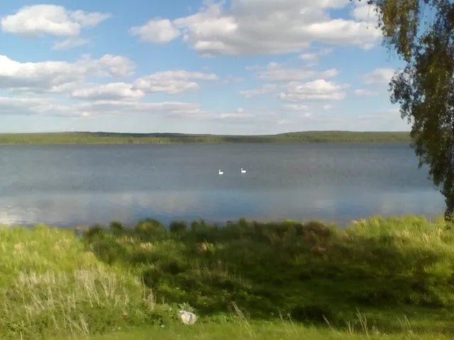 place image