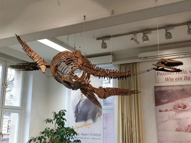 Goldfuß-Museum