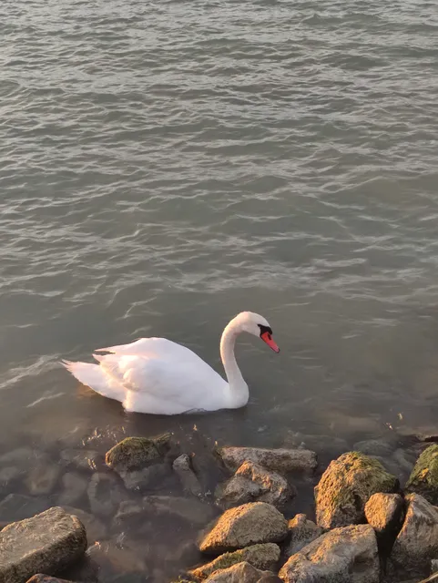 Hullám Üdülőpark Kft.