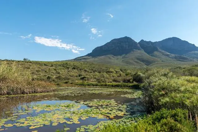 Helderberg Nature Reserve