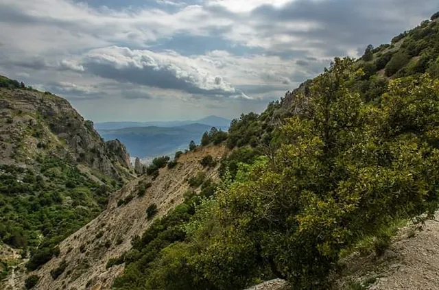 Ente Parco delle Madonie
