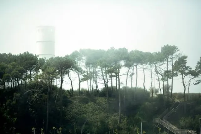 Antiga Seca do Bacalhau - Meo Marés Vivas