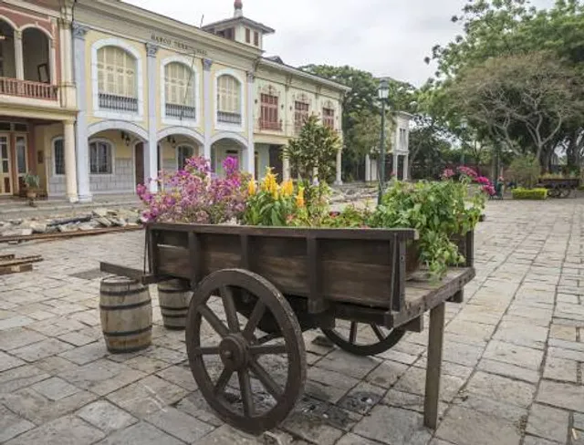 photo-1