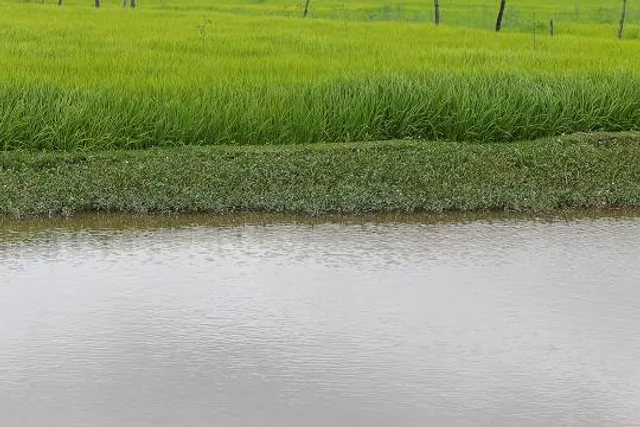 Pembroke Pines Craig Rupp K-9 Dog Park