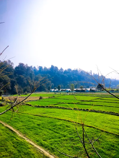 Sitabani Conservation Reserve