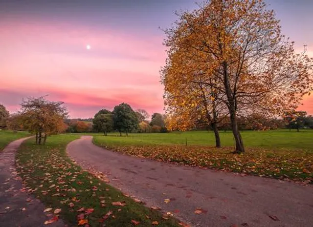 National Trust - Killerton
