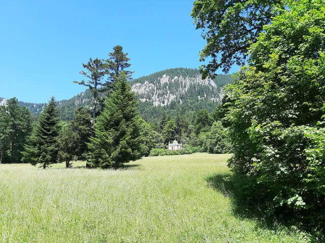 photo-2