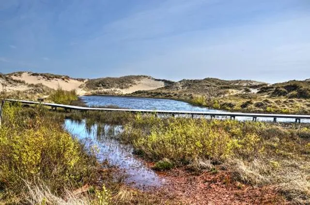 Vogelparadies Wriakhörnsee