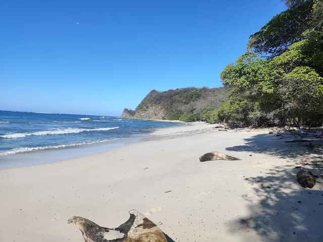 Playa Rosada