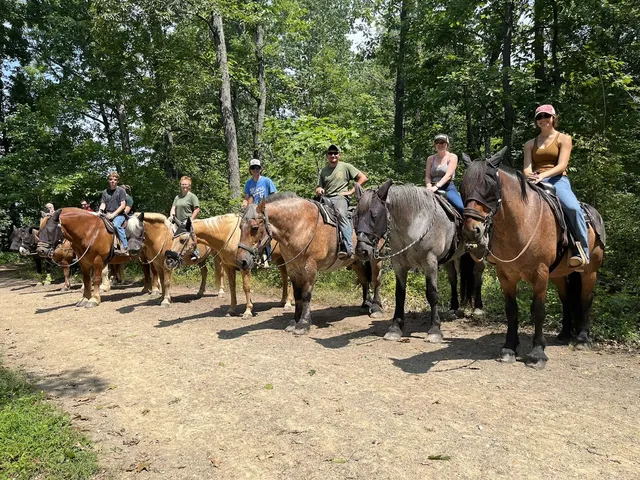 Hickory Hollow Horse Farm
