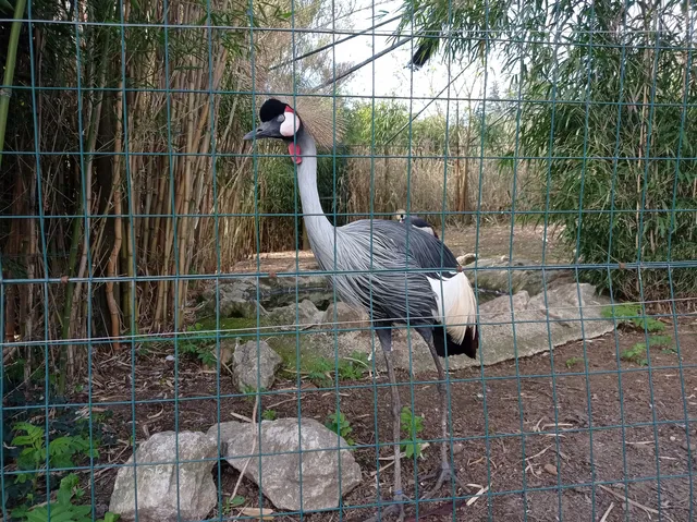 Giardini del Volturno