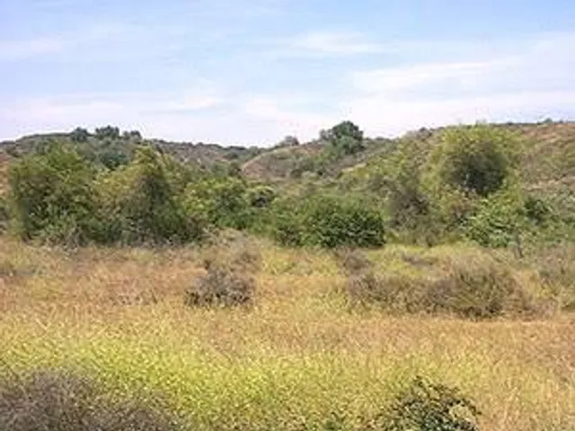 Robert E. Ward Nature Preserve