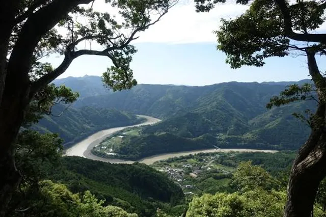 Bosque de Proteccion Alto Mayo