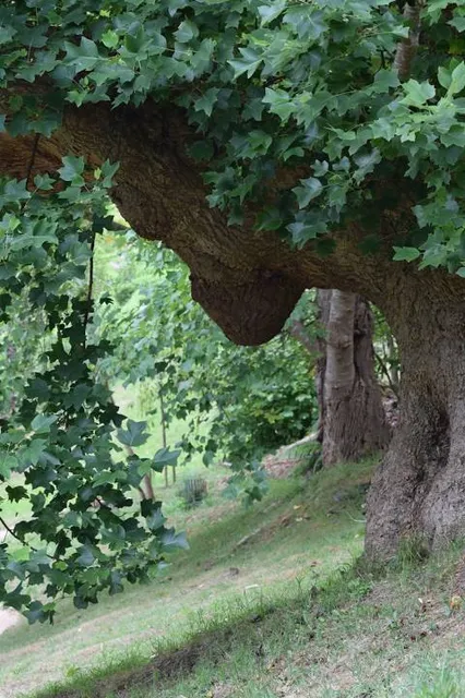 place image