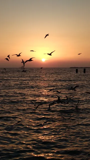 Seaside Park Assaluyeh