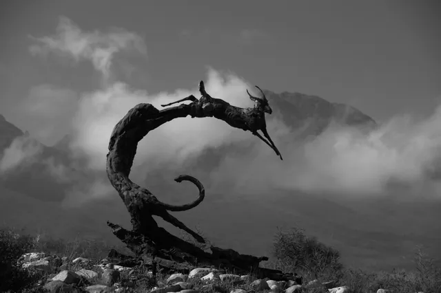 Dylan Lewis Studio & Sculpture Garden