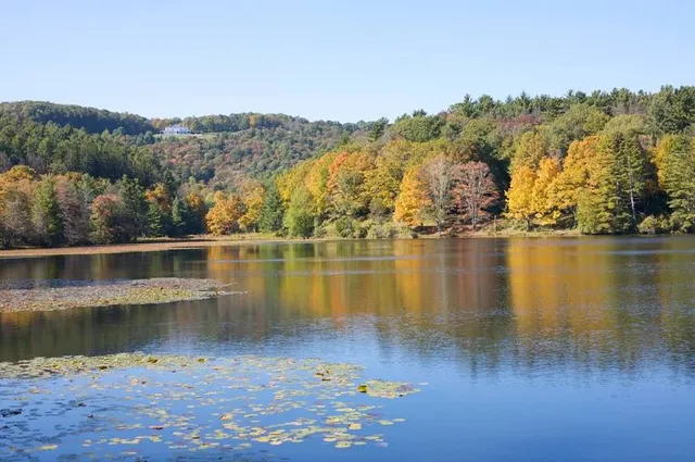 Moses H. Cone Memorial Park