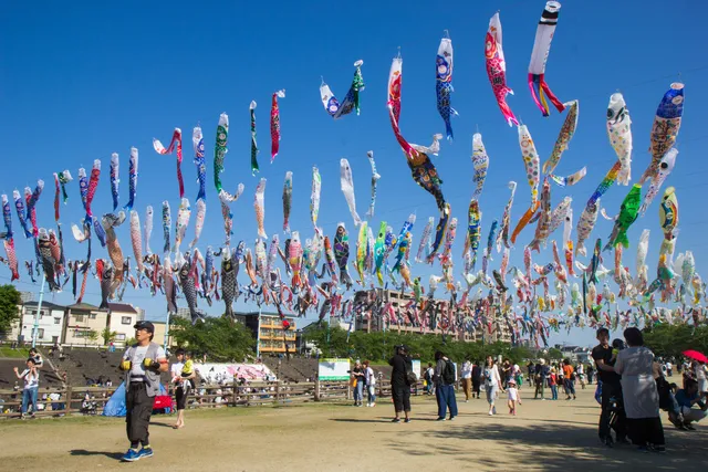 Akutagawa Sakurazutsumi Park
