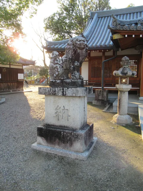 photo-3