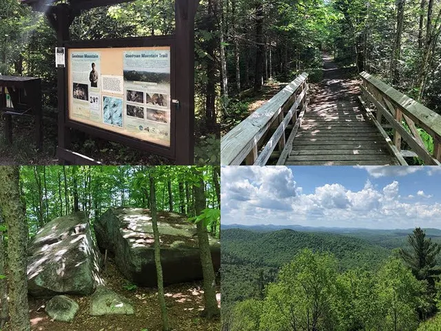Goodman Mountain
