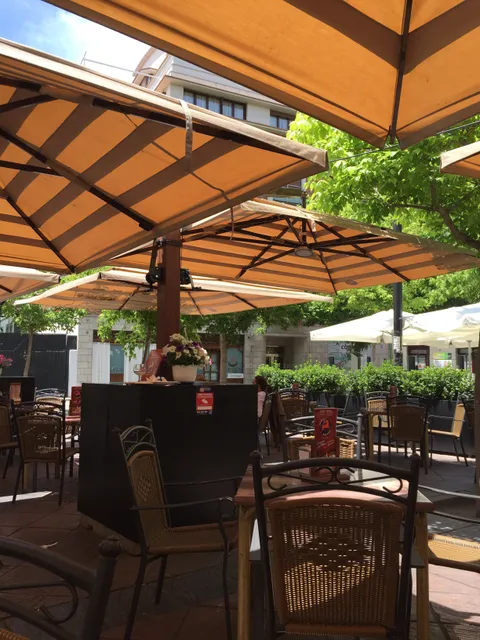 Cervecería Rhin Barril 2 Centro