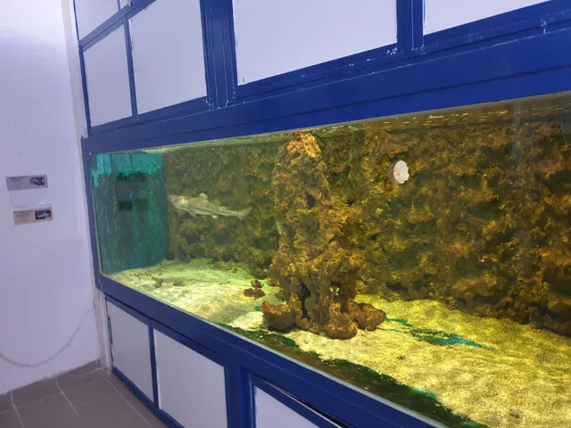 Tropical aquarium Krk