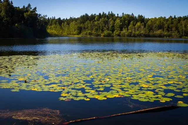 Judarskogen Nature Preserve