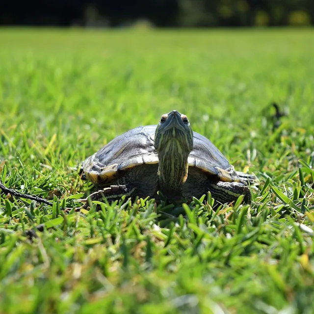 Nature Center at Greenburgh