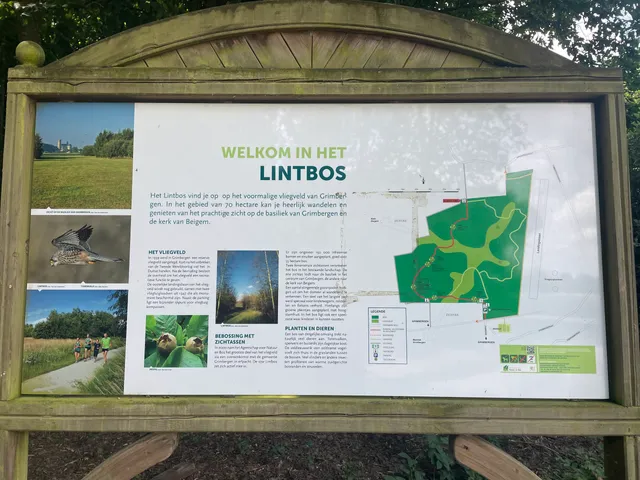 Lintbos