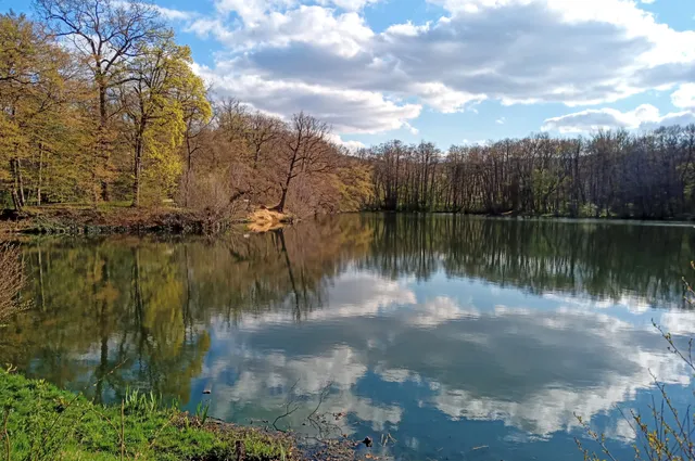 Mönchenmühlenteich