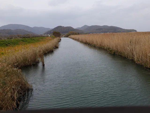 Lake Biwa Yoshibue Road