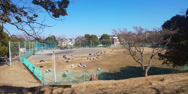 Konandai Minami Park