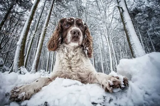 Greno Woods Nature Reserve