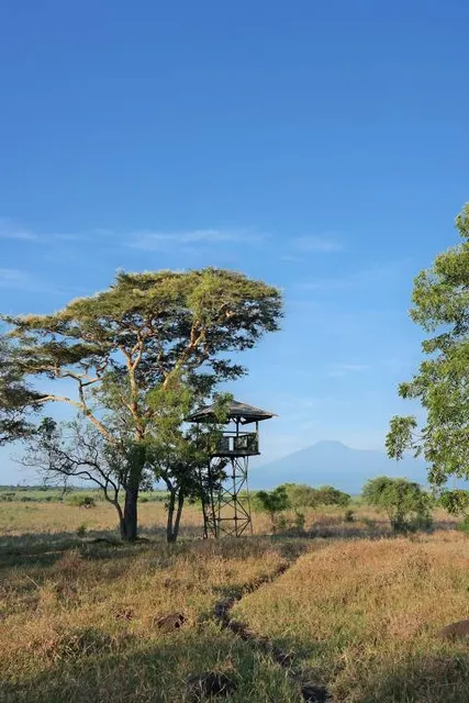 place image