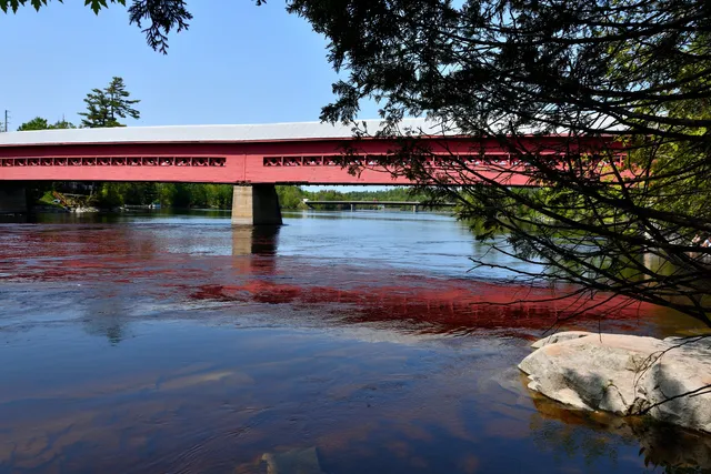 Wakefield Covered Bridge