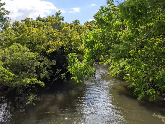 Black Mountain Hideaway