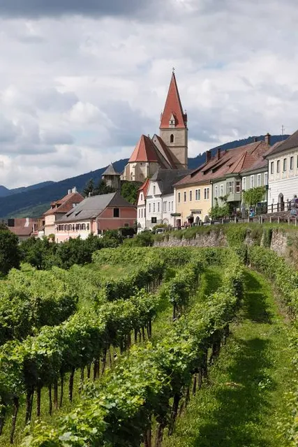 Faisalabad Saddar Tehsil