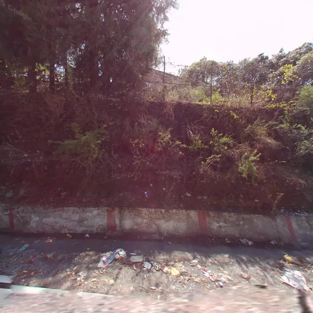 OYO 49889 Rahul Restaurant And Guest House