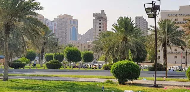 فندق تيماء الششه