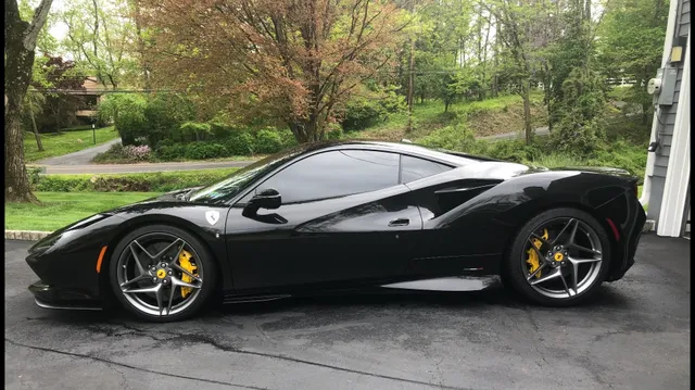 Forest Hill Exotic Performance