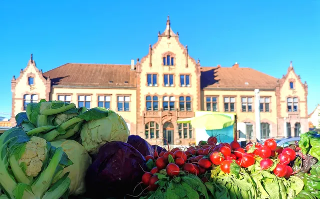 Zollhallenplatz, Kreisel