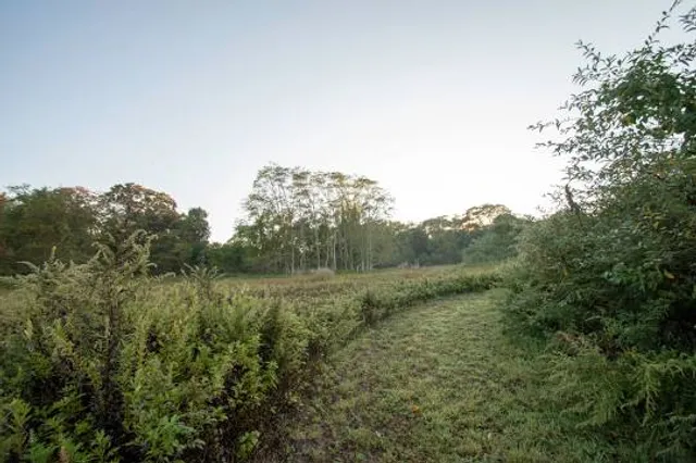 Robinson Duck Farm Dog Park