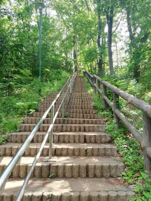 photo-1