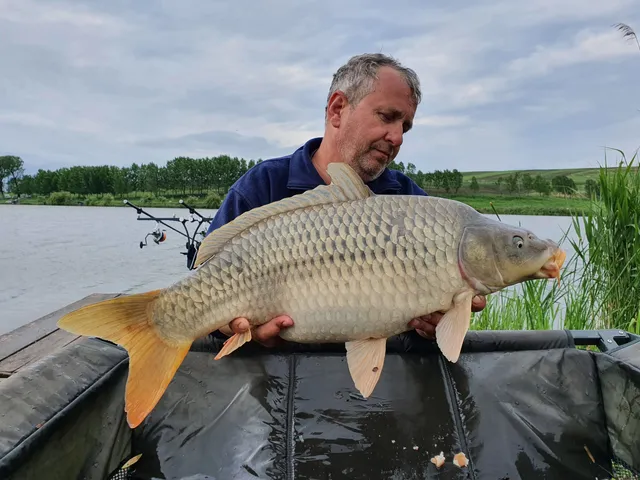 Club de pescuit sportiv Navodul Star