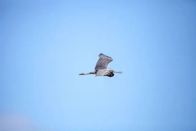 Liberty Park and Fitness Center
