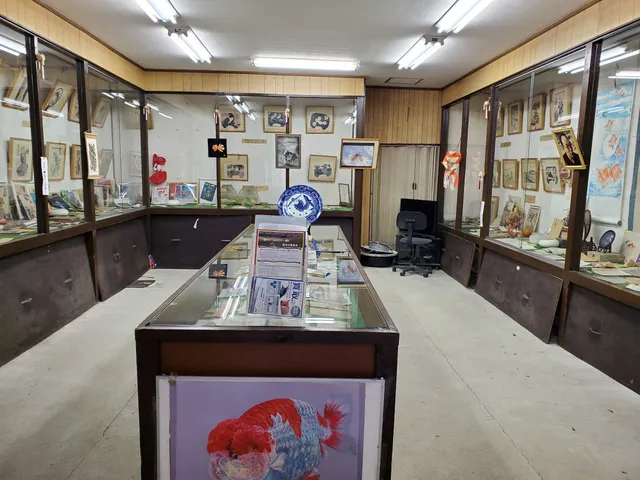 Koriyama Goldfish Museum