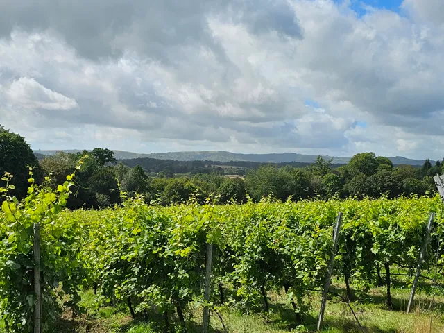 Stopham Vineyard and Winery